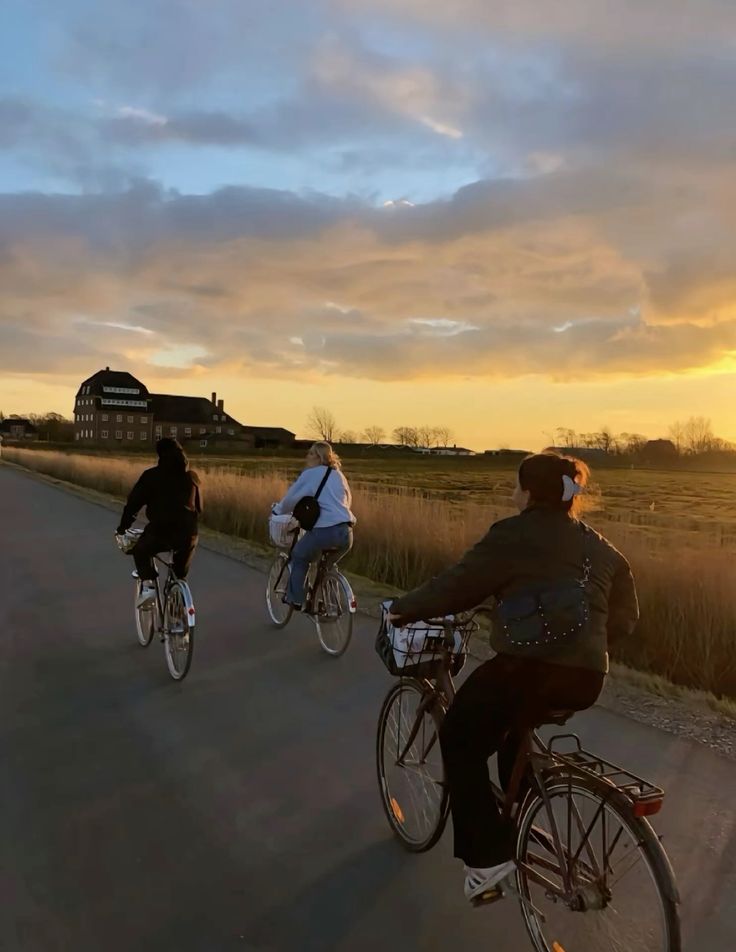 Group of cyclists pausing at a Stockholm waterfront viewpoint during an evening ride